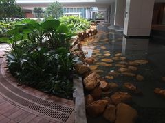 -香港大学