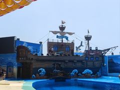 -海合安青岛极地海洋公园