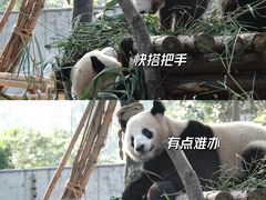 -广州动物园