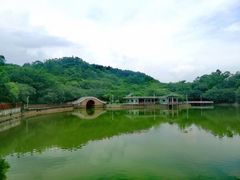 -大雁山风景区