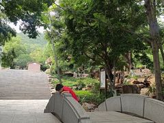-石老人观光园