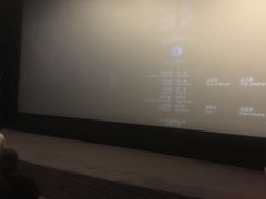 -新影联·华谊兄弟影院(望京店)
