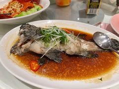 清蒸海石斑-東海海鲜酒家(中信广场店)
