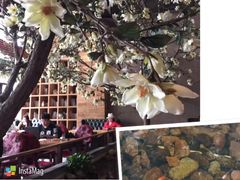 -山有花啡餐厅(常营总店)