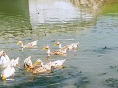 -乡乐园蟹庄·阳澄湖农家乐