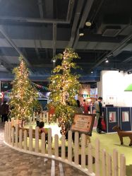 -幻贝家儿童乐园(苏州中心店)