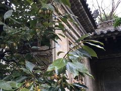-西安关中民俗艺术博物院