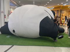 -COSTA COFFEE(西直门店)