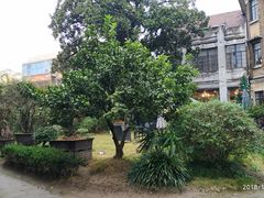 -大可堂普洱茶馆(襄阳南路馆)