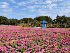 -广州市流溪河国家森林公园