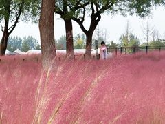 -汉长安城未央宫国家考古遗址公园