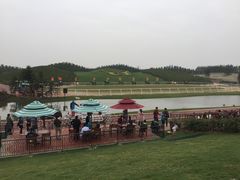 -迪茵湖田家舍生态农场