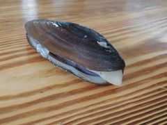 -吴川然味美食·地道湛江吴川菜
