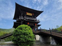 -大唐贡茶院