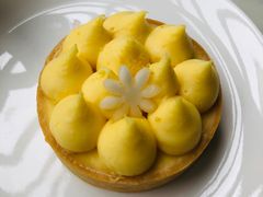 -Madeleine玛德琳(永平里店)
