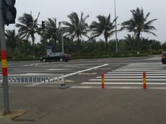 -万绿园