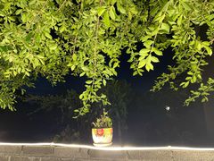 -邛海景风火盆烧烤(大石板古村二分店)