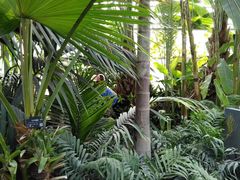 -国家植物园南园