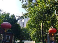 -大望京公园