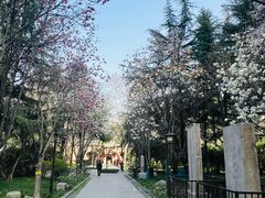 -木塔寺遗址生态公园