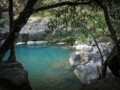 -广州白江湖森林公园