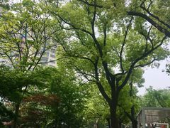 -兰溪青年公园