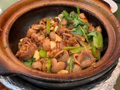 -煲煲好(朝阳门店)