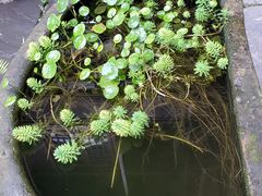 -大小河街