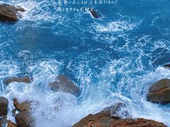 -广东惠东海龟国家级自然保护区