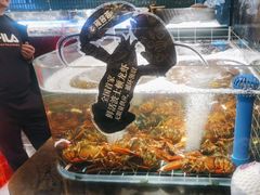 -雍容荟活龙虾自助餐(IFS黑金店)
