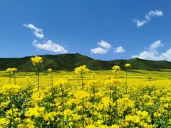 -扁都口生态休闲旅游区
