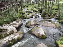 -汤旺河林海奇石景区