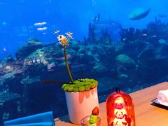 -海棠湾洲际-涛·海底餐厅·美人鱼·自助餐·海底隧道