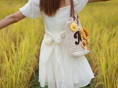 -艾米稻香小镇