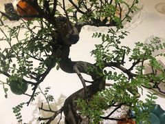 鹅肝做的树-西郊5号·Maggie 5