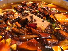 精品毛血旺-万荣烤鸭店·北京菜(天坛店)