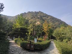 -北京鹫峰国家森林公园