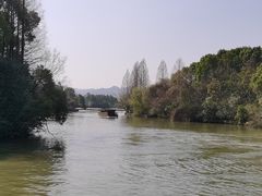 -鲁镇