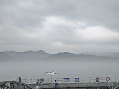 -河口景区