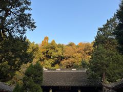 -杭州黄龙洞