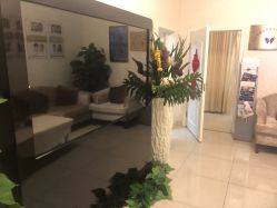 -紫洁俪方（北京）医疗美容