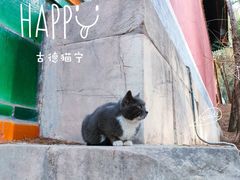 -颐和园