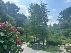 -云溪植物园