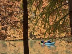 -上海海湾国家森林公园