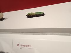-蒋家桥饺面店(东关街店)