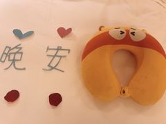 -三亚亚龙湾雅高铂尔曼别墅度假酒店