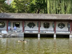 -团结湖公园