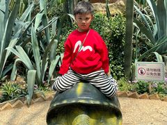 -大连森林动物园