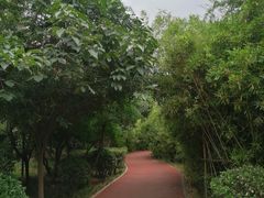 -唐城墙遗址公园