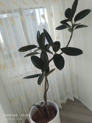 -HEYAN荷妍专业脱毛连锁机构